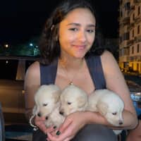 Foto de perfil del cuidador: Alessia C.