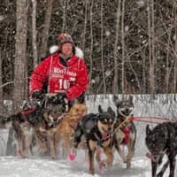 Sitter Profile Image: Michelle B.