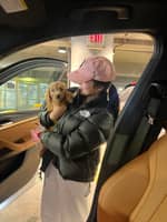 Sitter Profile Image: Adriana P.