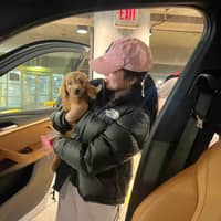 Sitter Profile Image: Adriana P.