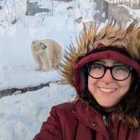 Sitter Profile Image: Dawn D.