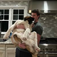 Sitter Profile Image: Mike H.