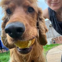 Sitter Profile Image: Rebekah W.