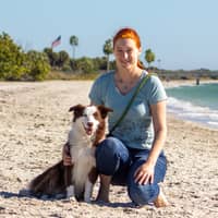 Sitter Profile Image: Sarah B.