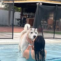 Sitter Profile Image: Doralys A.