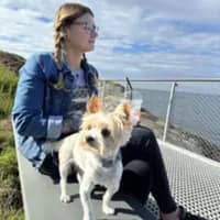 Profilbilde av hundepasser: Kristina O.