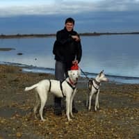 Photo de profil du pet sitter : Alex E.