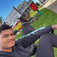 Sitter Profile Image: DAngelo S.