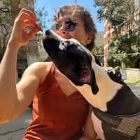 Sitter Profile Image: idil u.