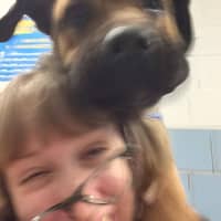 Sitter Profile Image: Althea C.