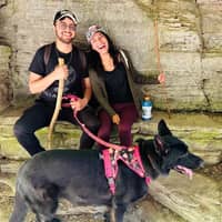 Sitter Profile Image: Kavya S.