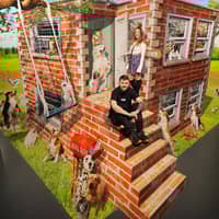 Sitter Profile Image: Sarah C.