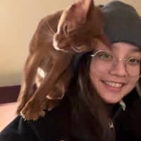 Passarens profilbild: Yin L.