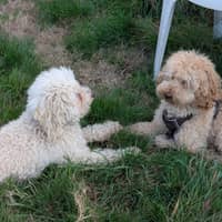 Foto del cuidador: María y Kike P.