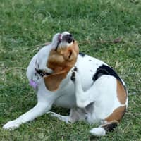 Foto del cuidador: María y Kike P.