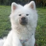 Sitter Profile Image: María y Kike P.