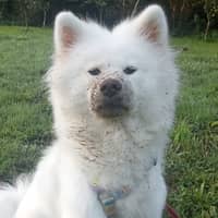 Foto del cuidador: María y Kike P.