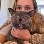 Sitter Profile Image: Marlee B.