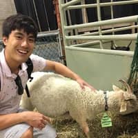 Sitter Profile Image: Samuel L.