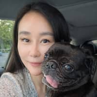 Sitter Profile Image: Mengmeng Q.