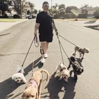 Sitter Profile Image: Carlos M.