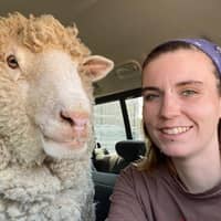 Sitter Profile Image: Keeley M.