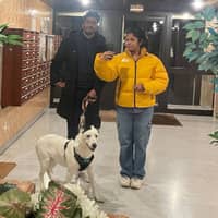 Photo de profil du pet sitter : Praveen Kumar V.
