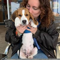 Photo de profil du pet sitter : Ambre B.