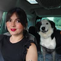 Photo de profil du pet sitter : Paulyne D.