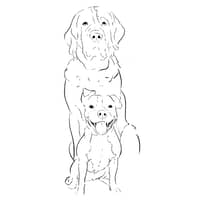 Foto del cuidador: Aitor i.