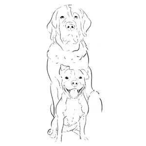 Sitter Profile Image: Aitor i.