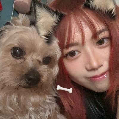 Photo de profil du pet sitter : Ching Nam L.
