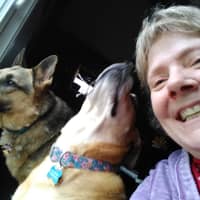 Sitter Profile Image: Cheryl F.