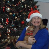 Sitter Profile Image: Katie E.