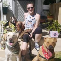 Sitter Profile Image: Katie T.