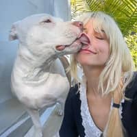 Sitter Profile Image: Suellen D.