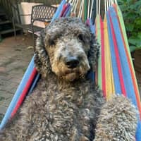 Sitter Profile Image: Mikia E.