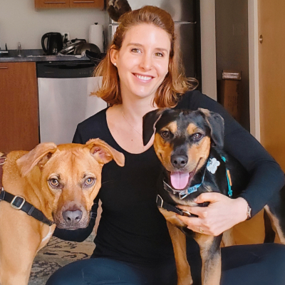 last minute dog boarding near me