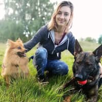 Sitter Profile Image: Koda R.