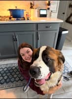 Sitter Profile Image: Hanna B.