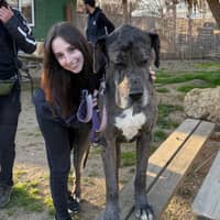 Foto del cuidador: Claudia S.