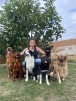 Photo de profil du pet sitter : maeva r.
