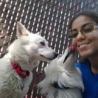 Sitter Profile Image: Maria S.