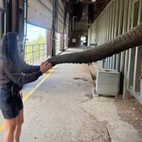 Sitter Profile Image: Isabelle D.