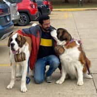 Sitter Profile Image: Adithya S.