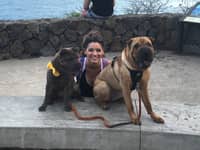 Sitter Profile Image: Krysta &  Peter S.