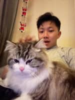 Passarens profilbild: Yixiao H.