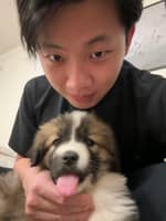 Passarens profilbild: Yixiao H.