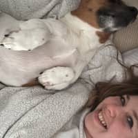 Photo de profil du pet sitter : Cassandra E.