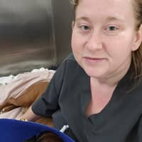 Sitter Profile Image: Rabeca H.